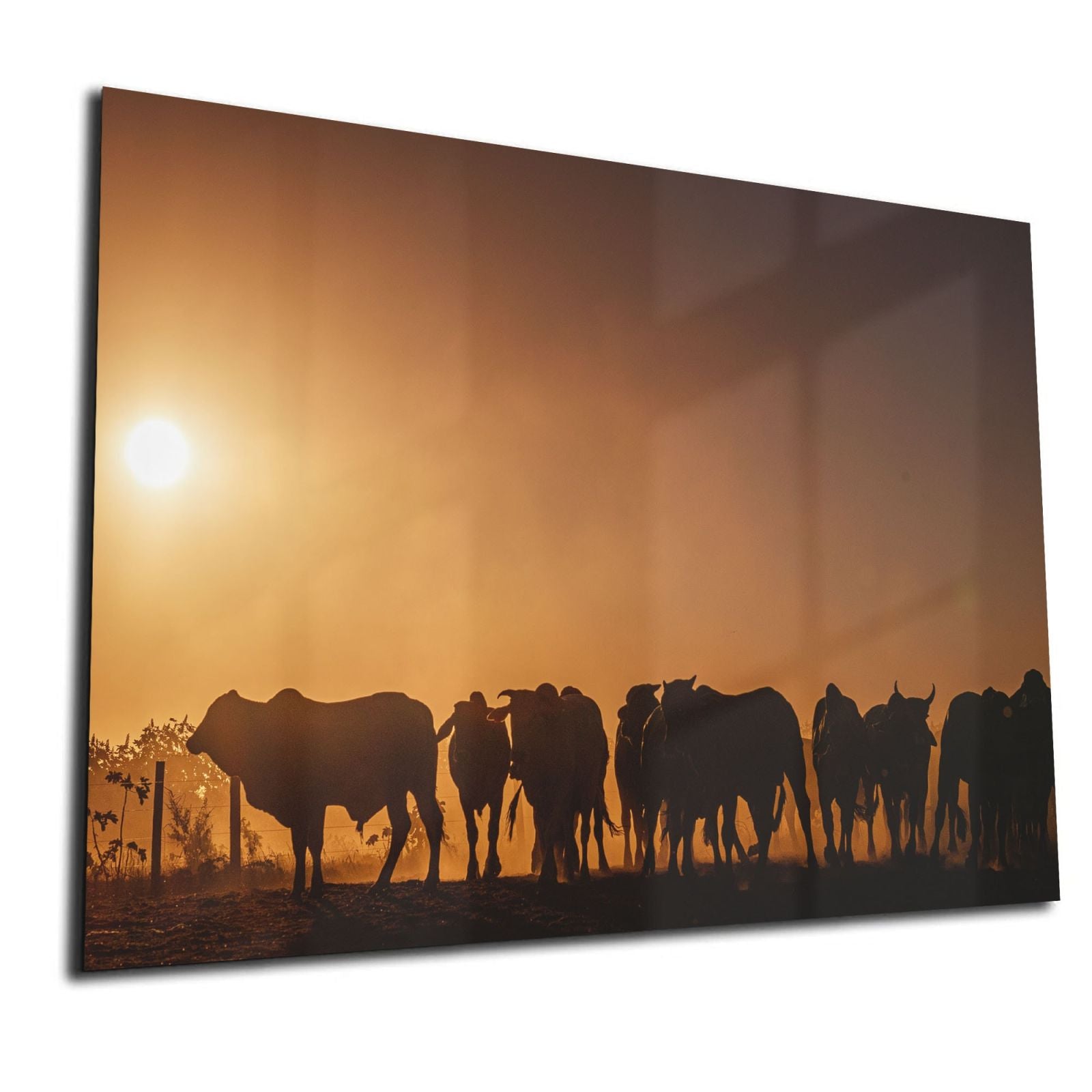 Glas-Whiteboard Tiere am Horizont – magnetisch, kratzfest & rahmenlos