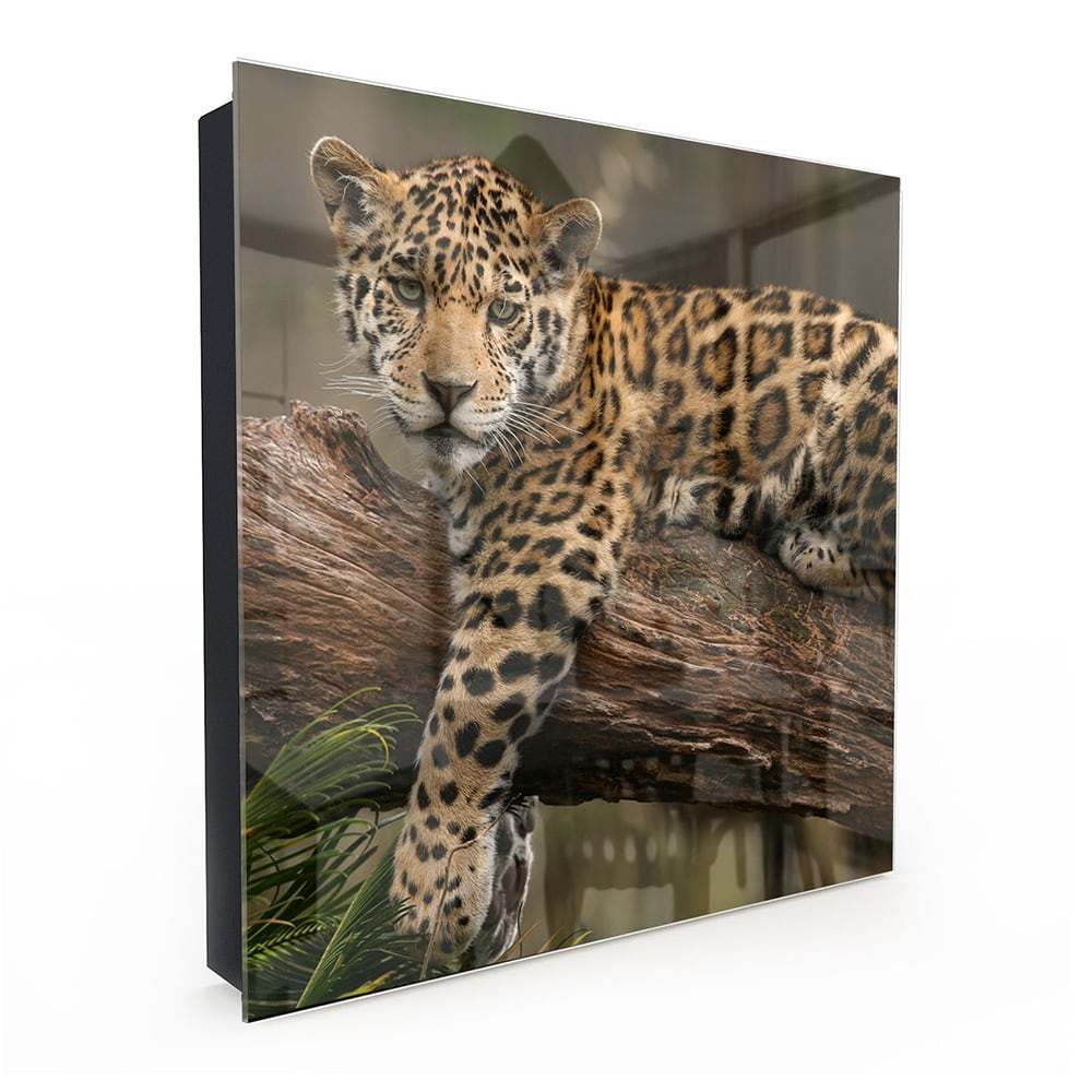 Schlüsselkast Jaguar auf dem Baum
