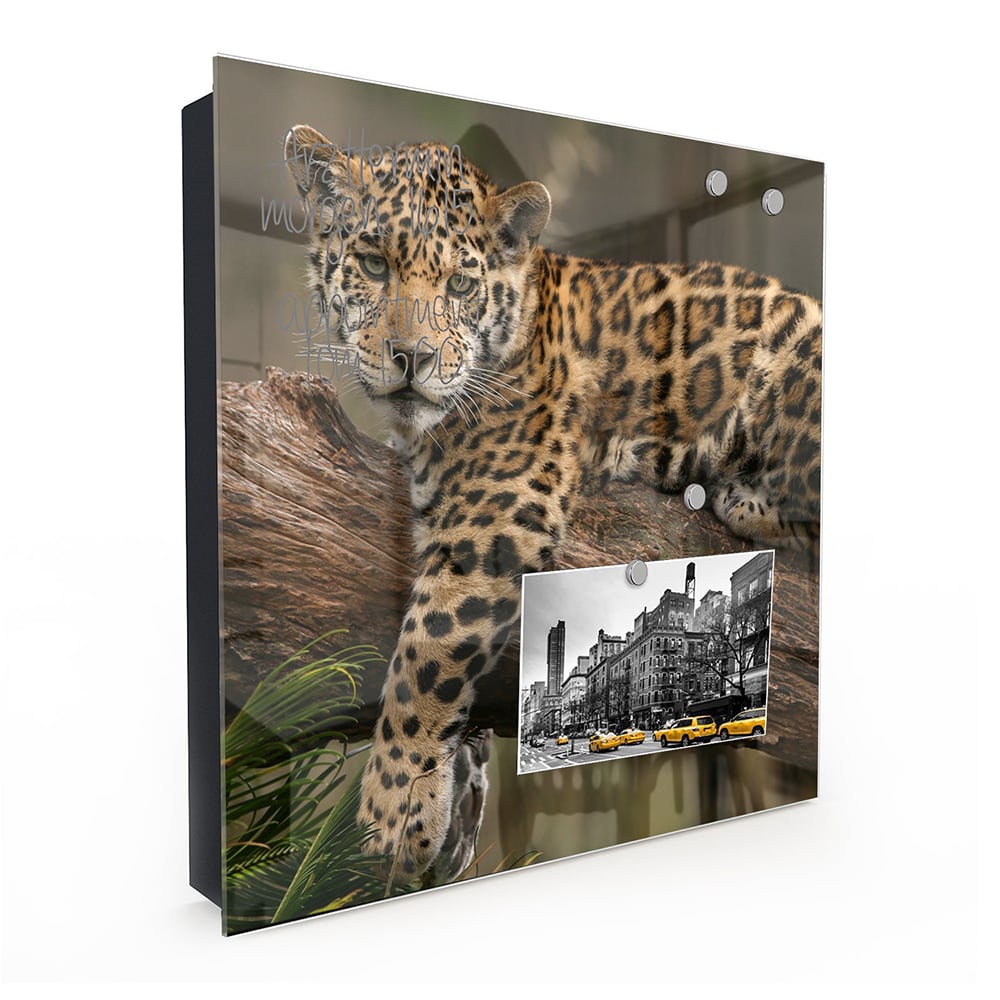 Schlüsselkast Jaguar auf dem Baum