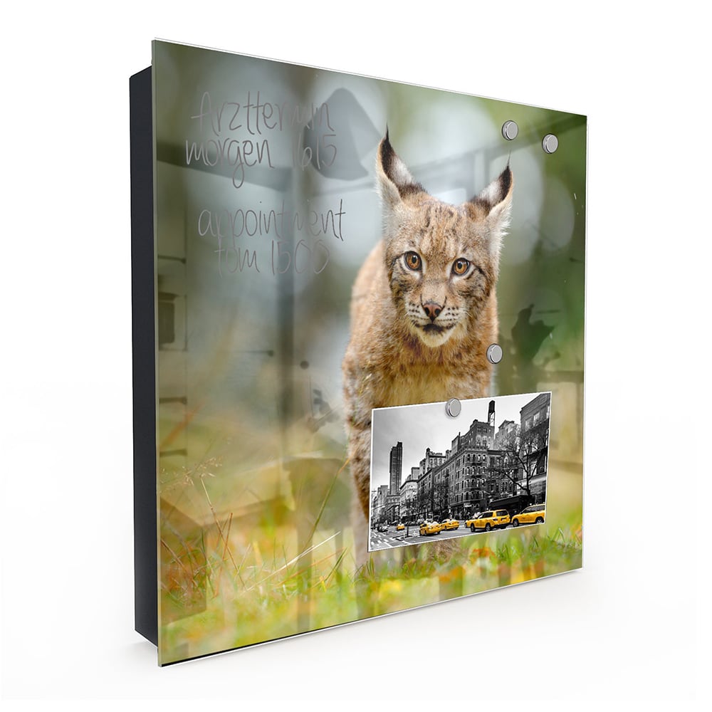 Schlüsselkast Junger Luchs