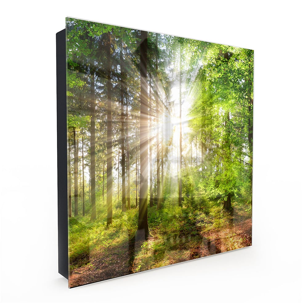 Schlüsselkast Sonnenlicht im Wald