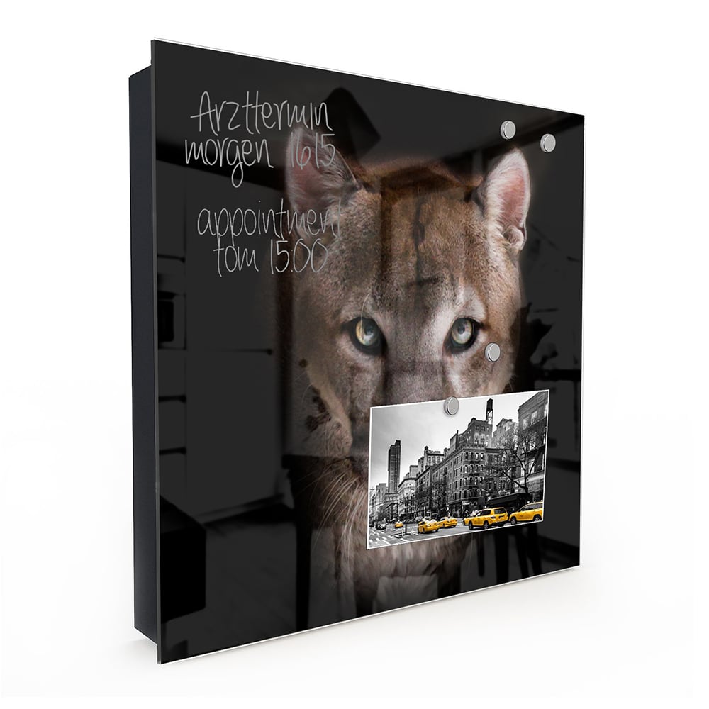 Schlüsselkast Puma im Dunkeln