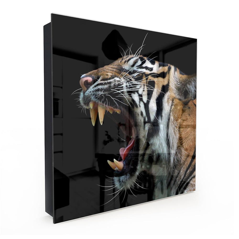 Schlüsselkast Kopf des Sumatra-Tigers