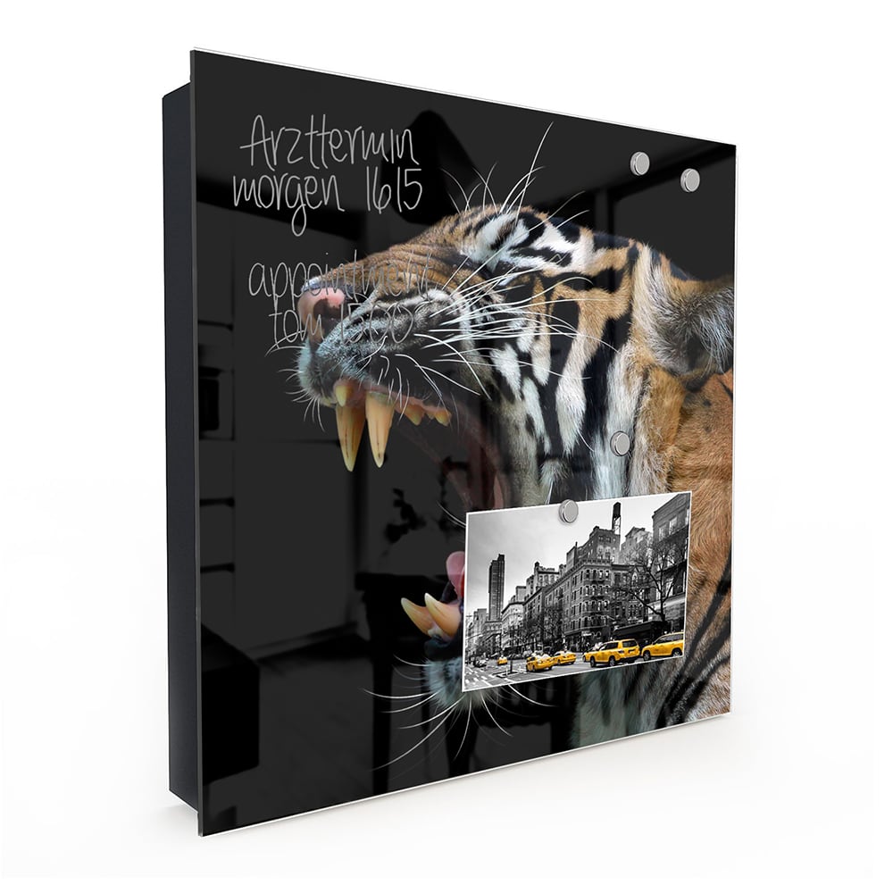 Schlüsselkast Kopf des Sumatra-Tigers