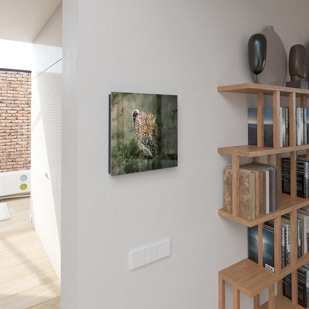 Schlüsselkast Leopard im Gras