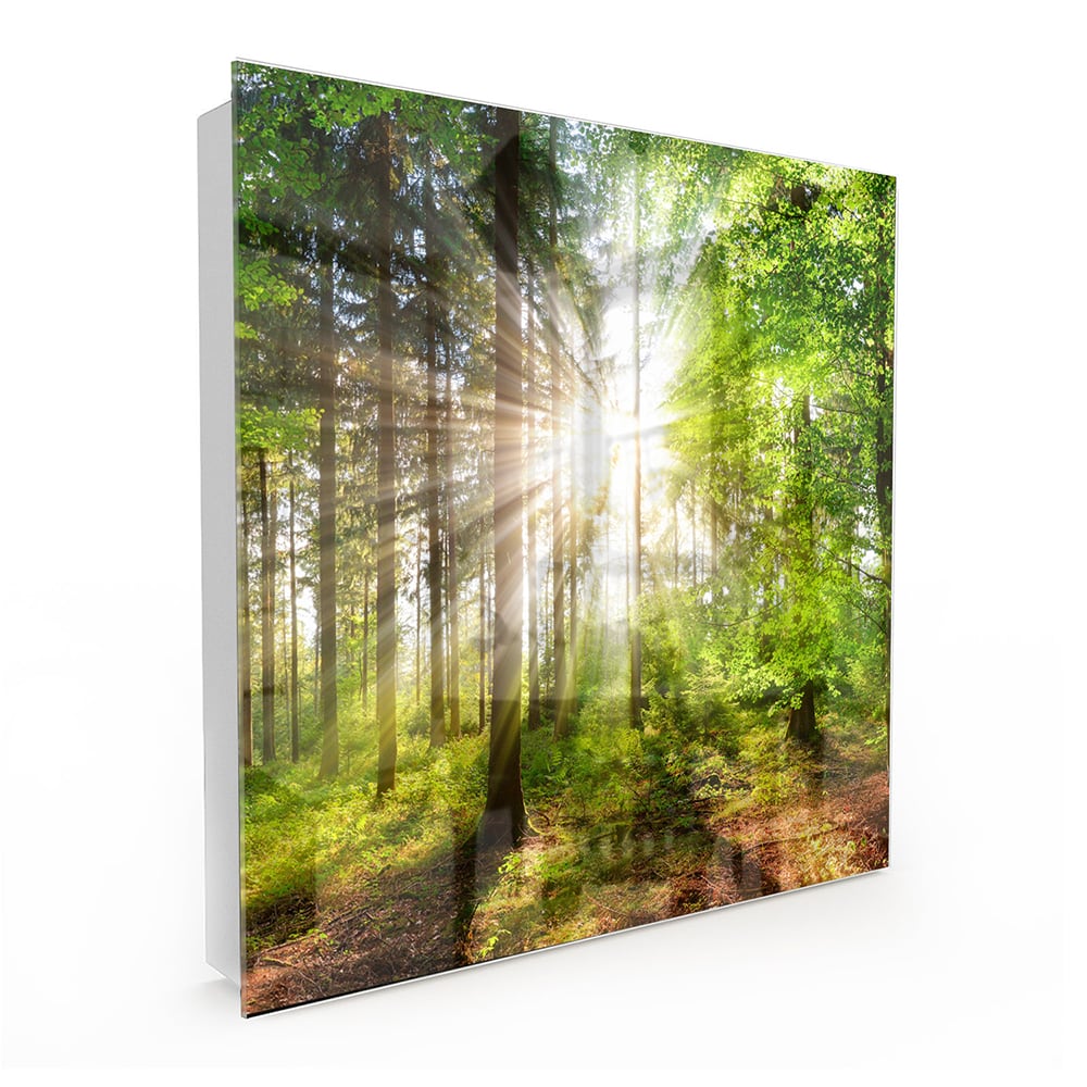 Schlüsselkast Sonnenlicht im Wald