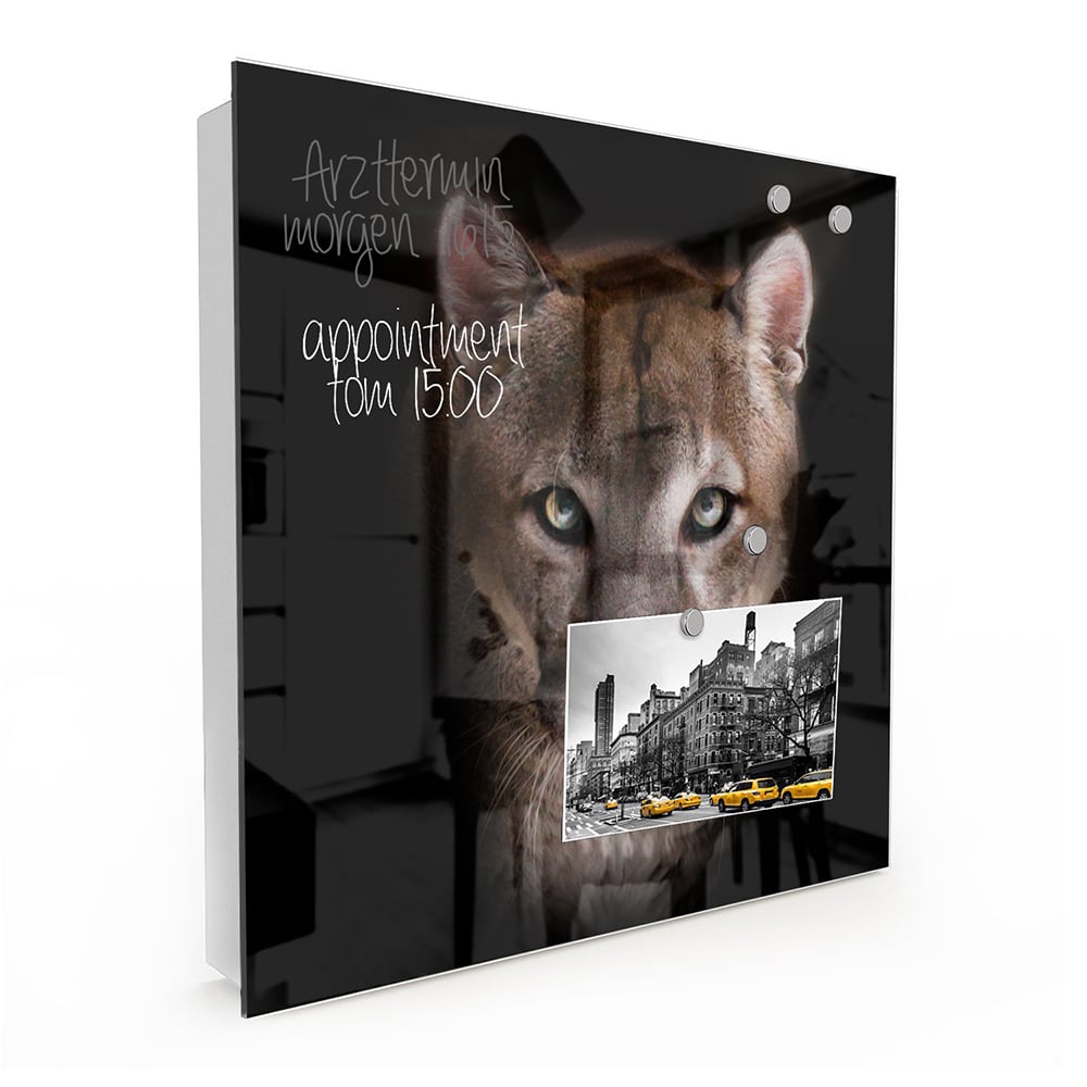 Schlüsselkast Puma im Dunkeln