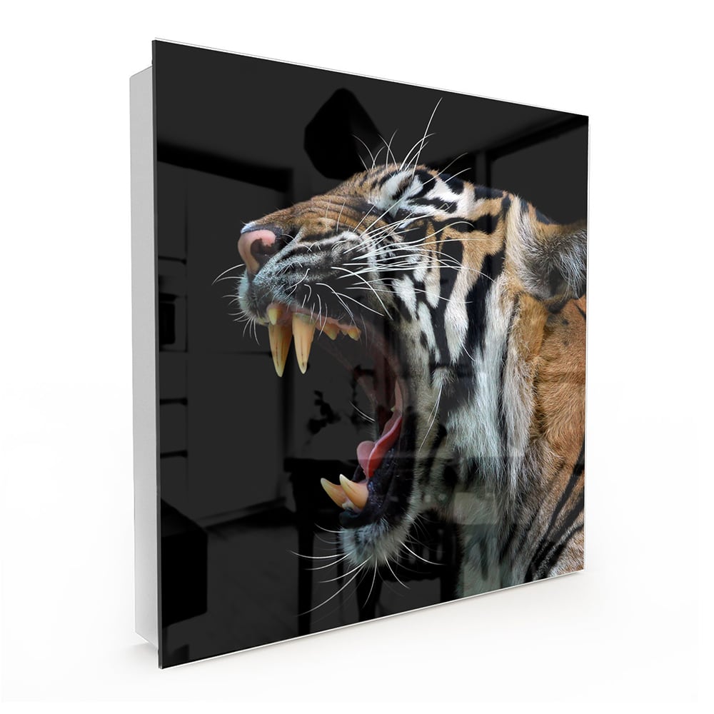 Schlüsselkast Kopf des Sumatra-Tigers
