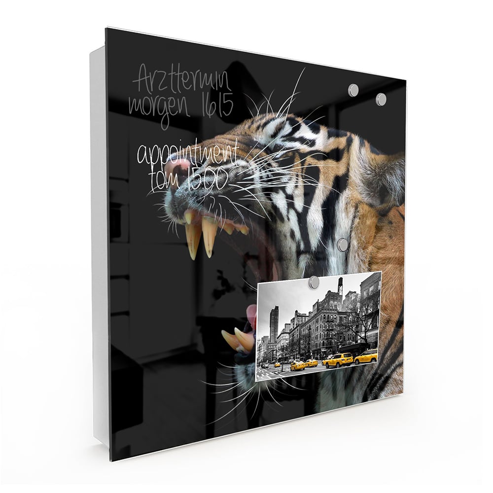 Schlüsselkast Kopf des Sumatra-Tigers