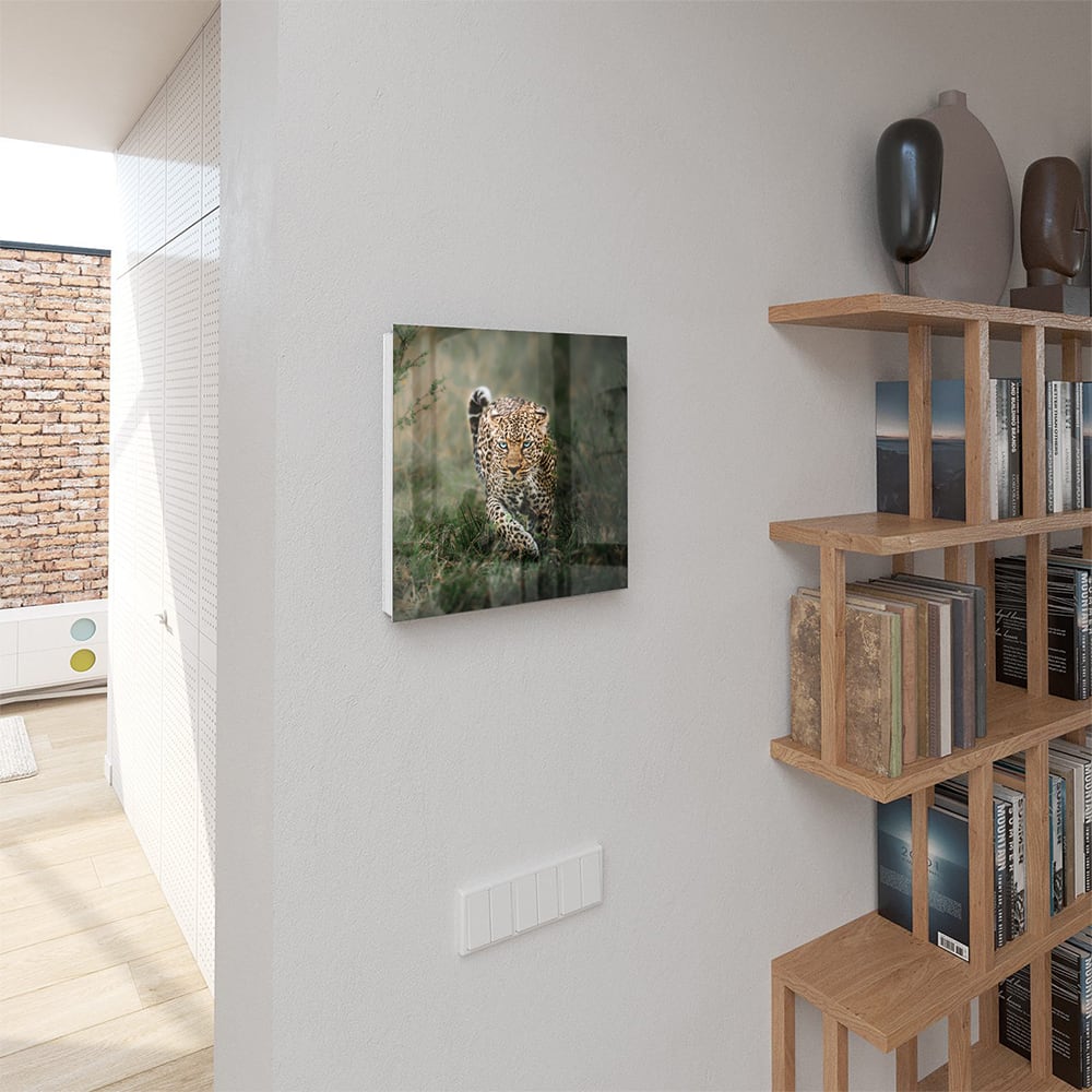 Schlüsselkast Leopard im Gras