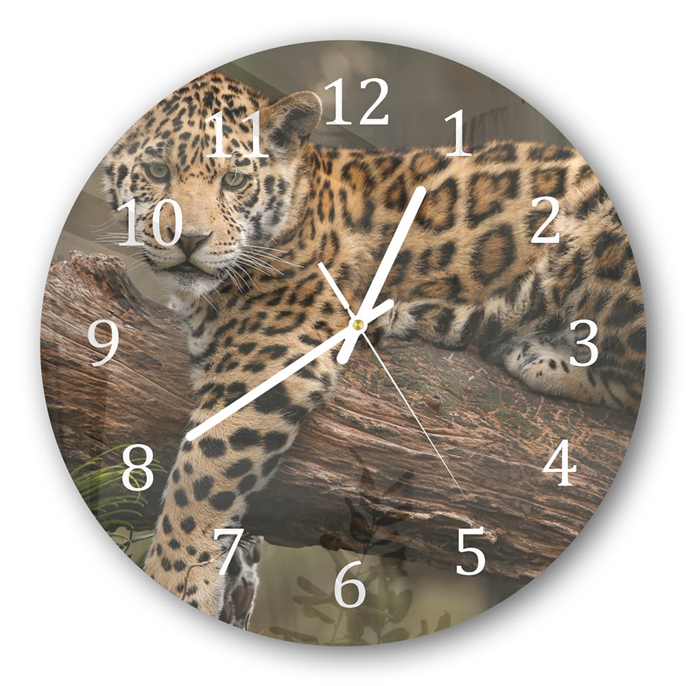 Wanduhr Rund - Jaguar auf dem Baum