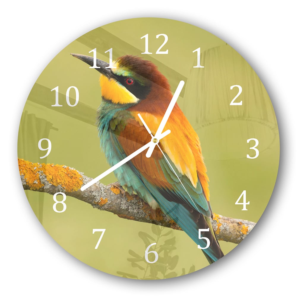 Wanduhr Rund - Bunter Vogel