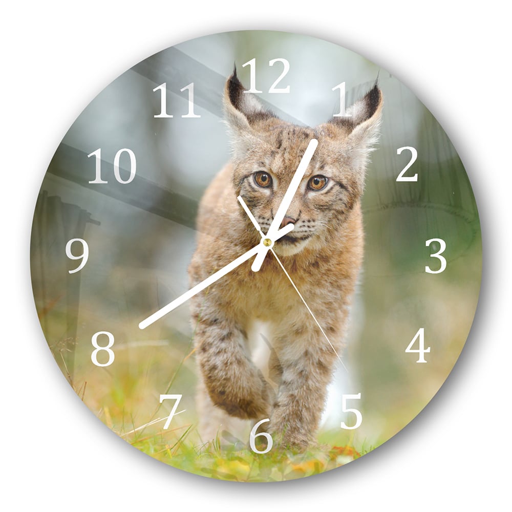 Wanduhr Rund - Junger Luchs
