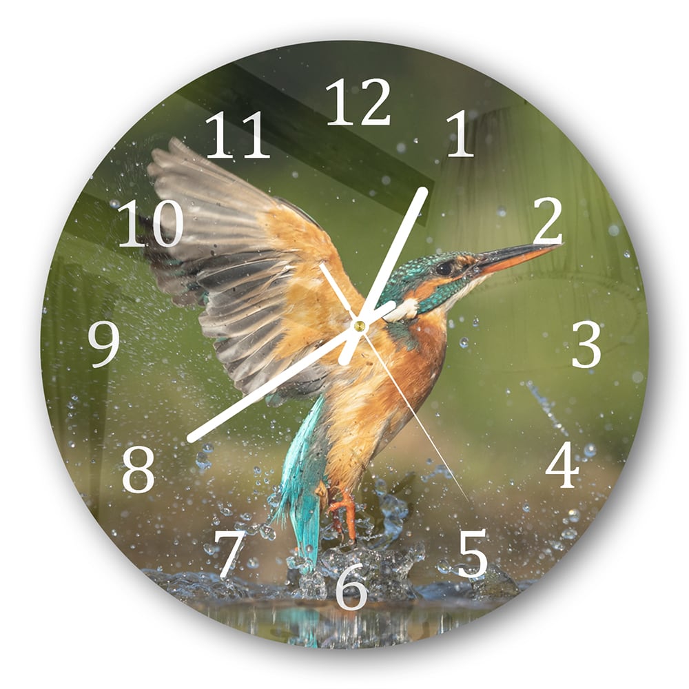 Wanduhr Rund - Eisvogel