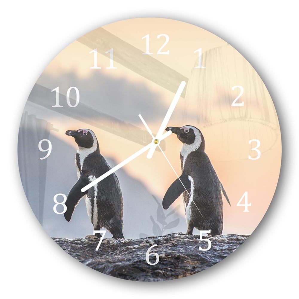 Wanduhr Rund - Afrikanische Pinguine