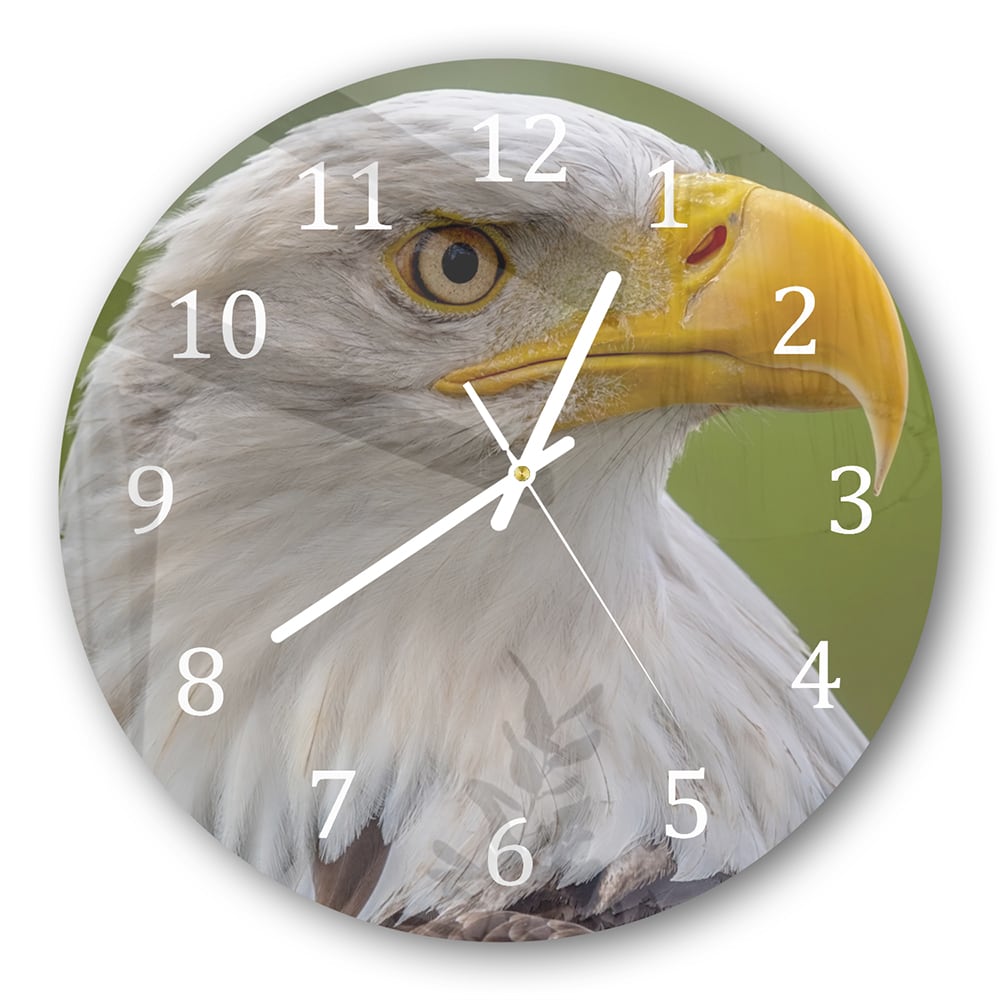 Wanduhr Rund - Seeadler