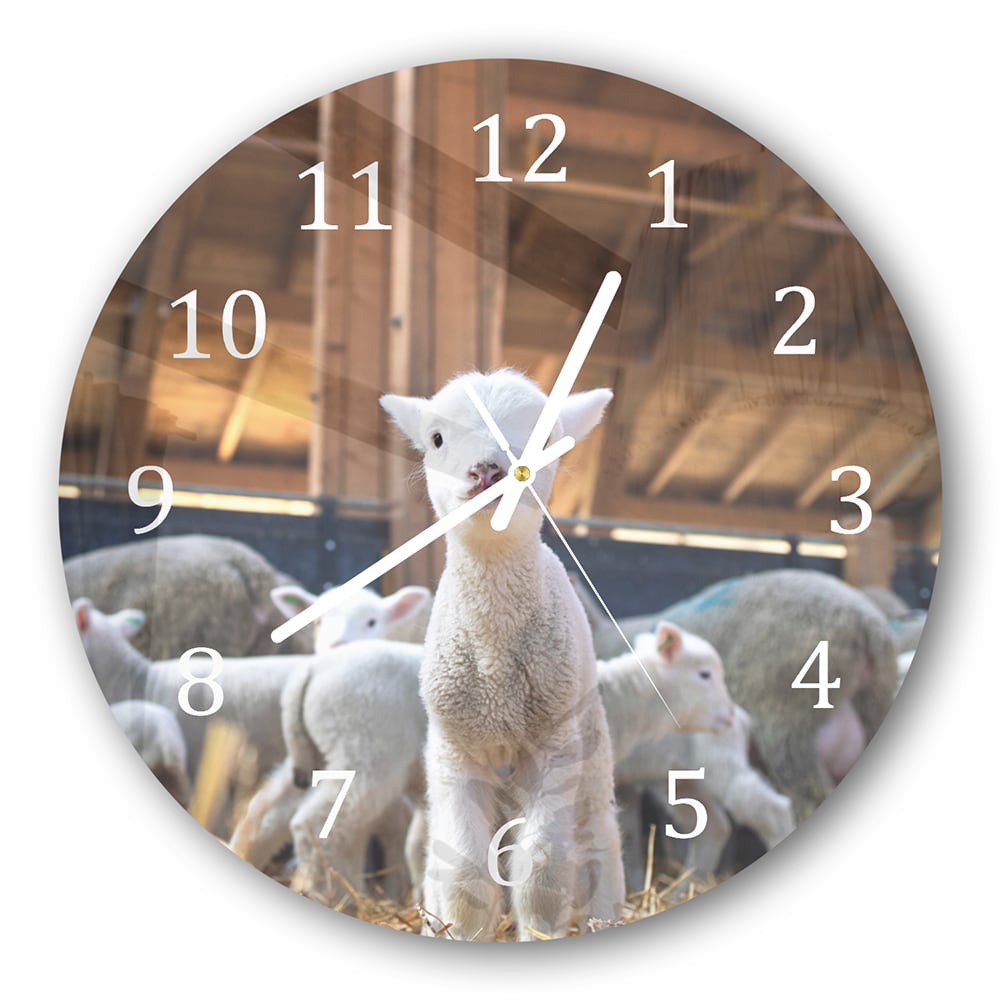 Wanduhr Rund - Lamm