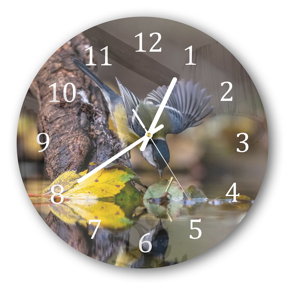 Wanduhr Rund - Kohlmeise am Wasser