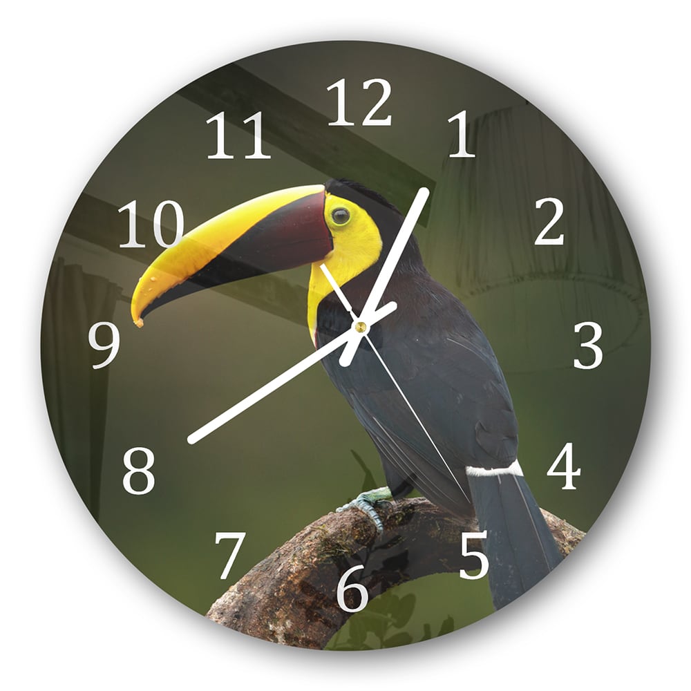 Wanduhr Rund - Tropischer Vogel