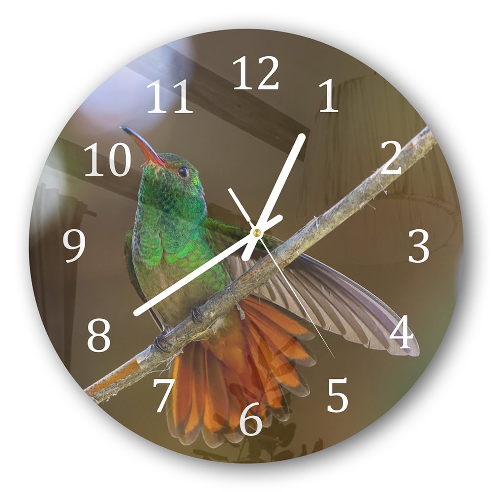 Wanduhr Rund - Kolibri