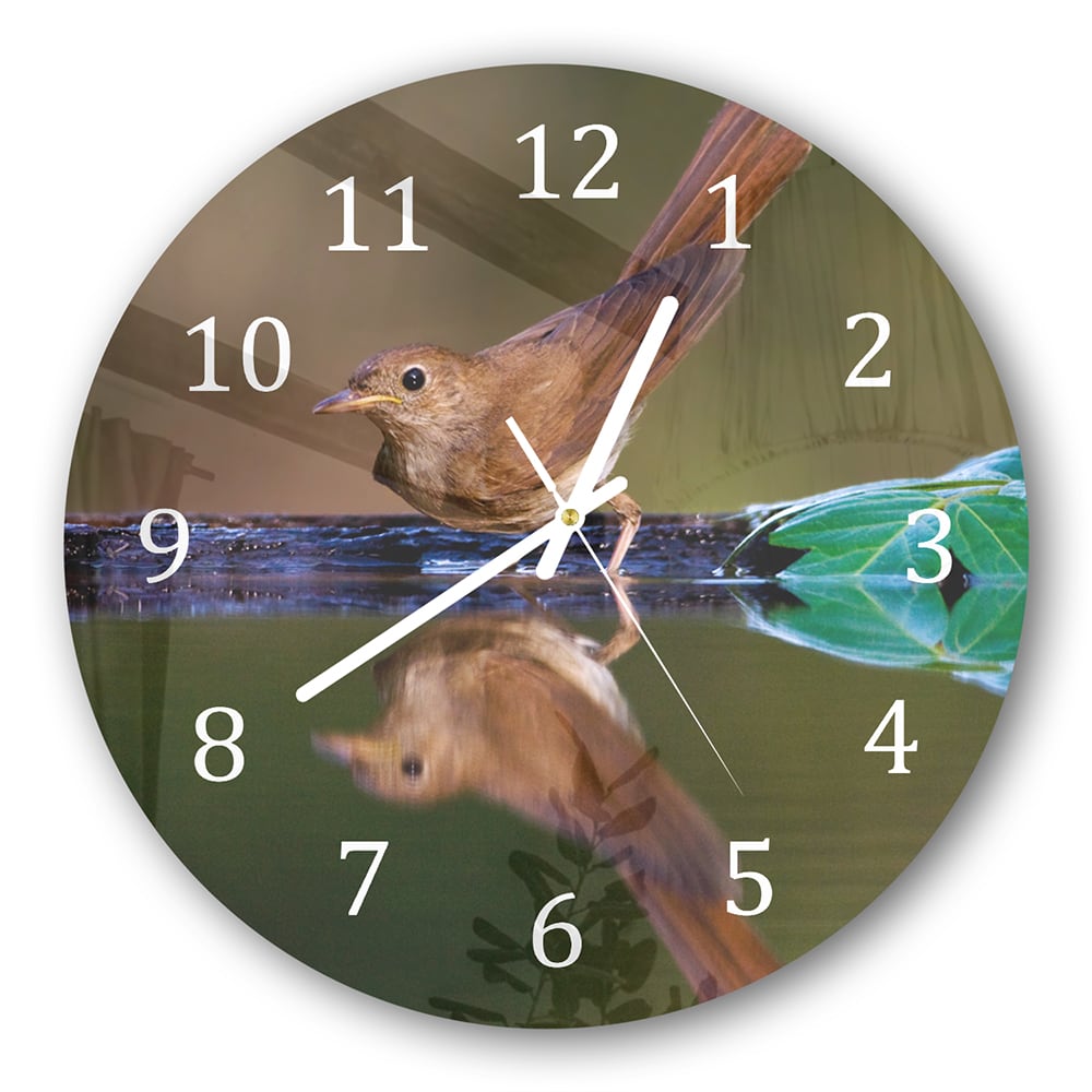 Wanduhr Rund - Nachtigall