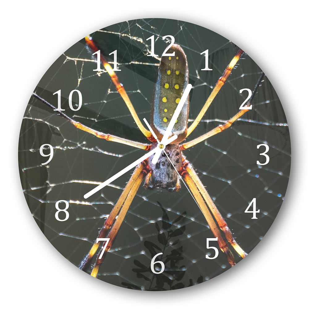 Wanduhr Rund - Goldene Webspinne