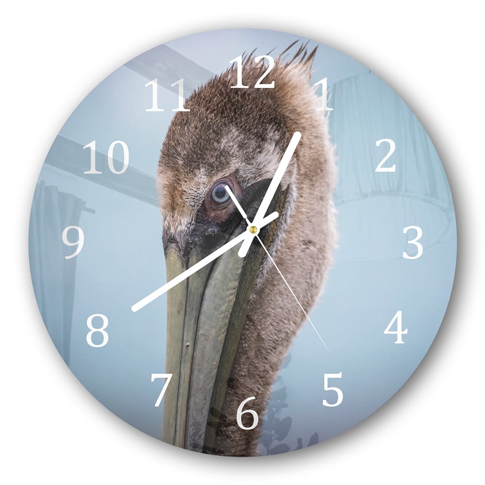 Wanduhr Rund - Majestätischer Pelikan