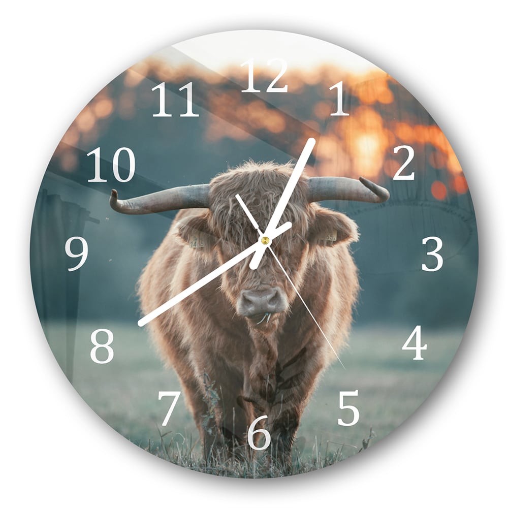 Wanduhr Rund - Hochlandrind am Abend