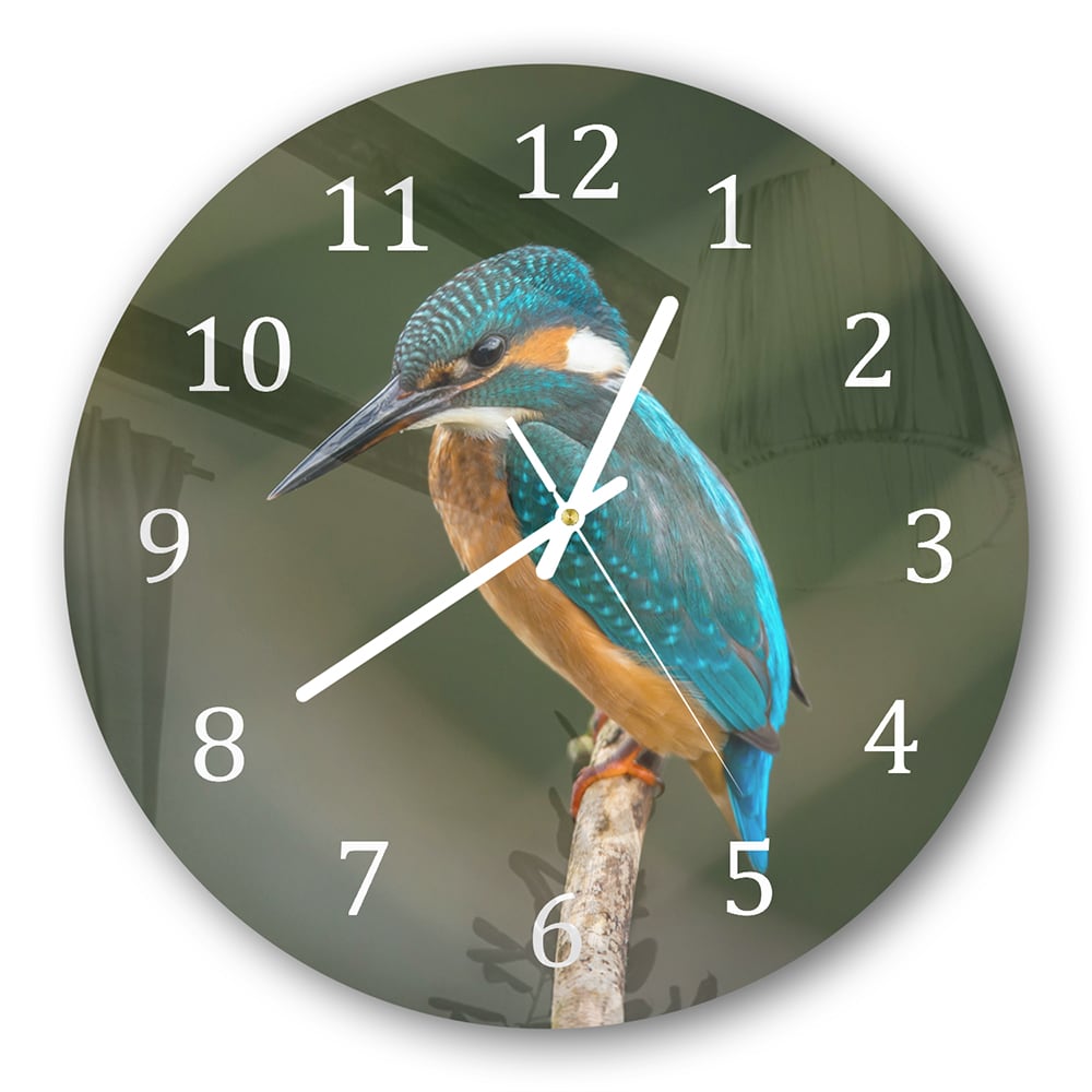 Wanduhr Rund - Bunter Eisvogel