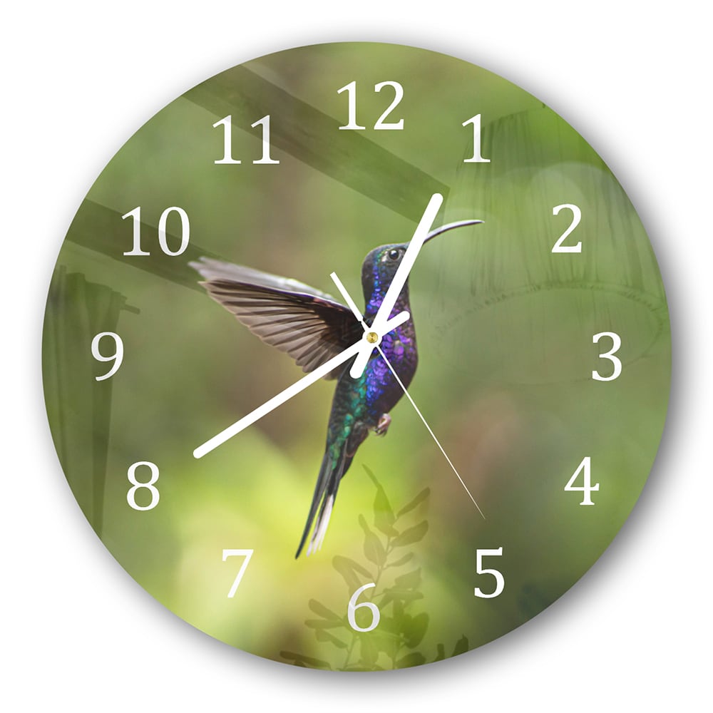 Wanduhr Rund - Bunter Kolibri