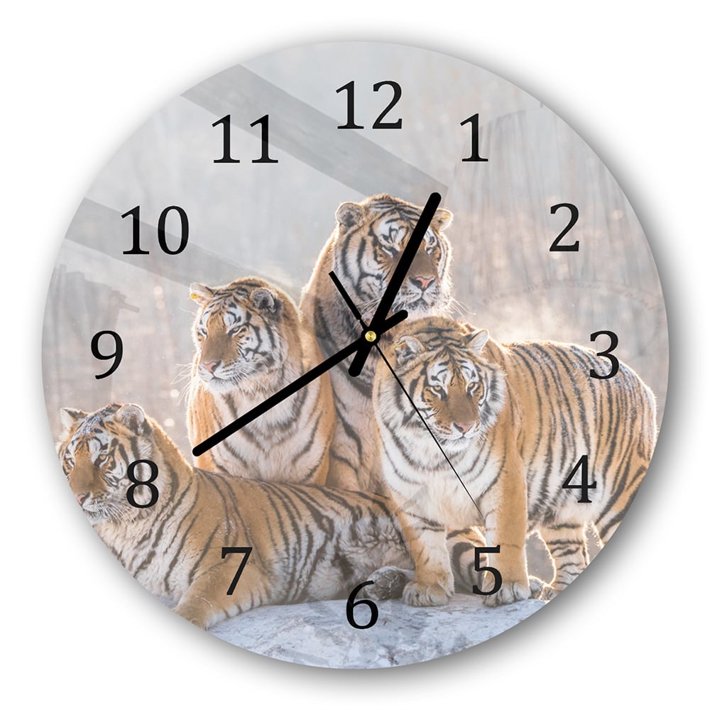 Wanduhr Rund - Gruppe von Tigern