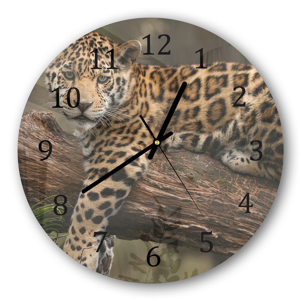 Wanduhr Rund - Jaguar auf dem Baum