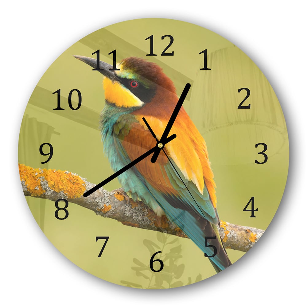 Wanduhr Rund - Bunter Vogel