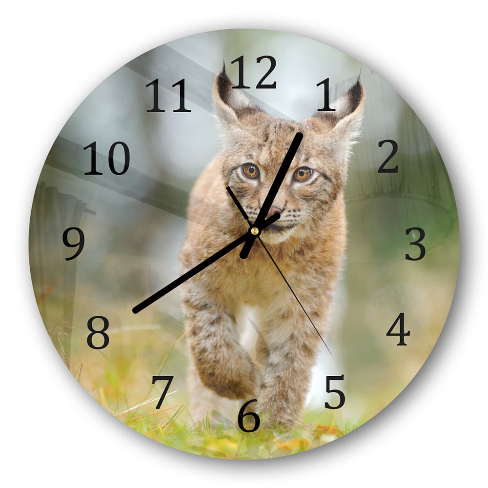 Wanduhr Rund - Junger Luchs