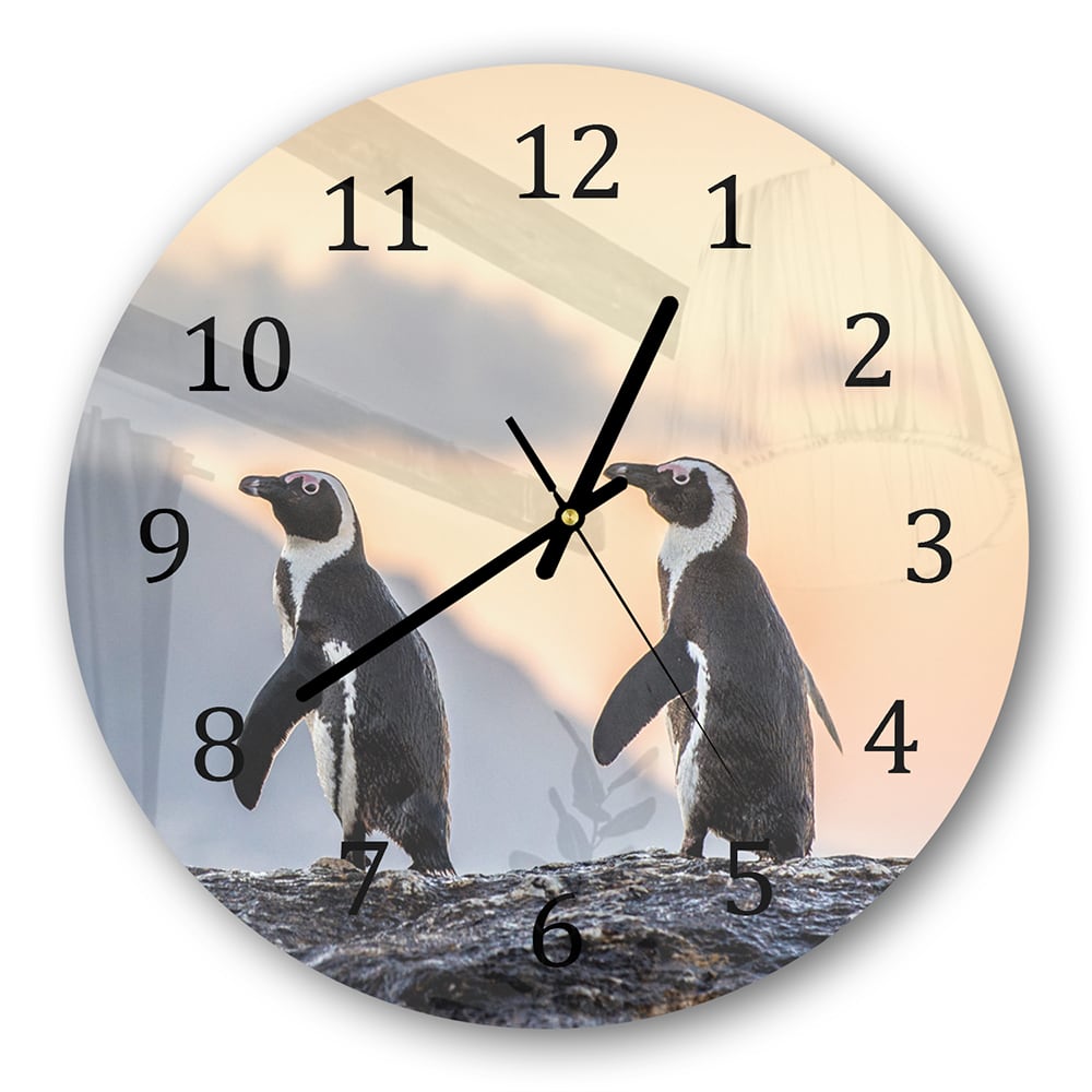 Wanduhr Rund - Afrikanische Pinguine