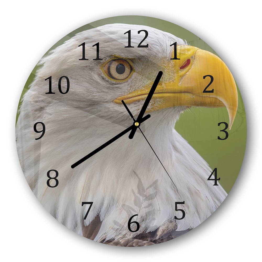 Wanduhr Rund - Seeadler