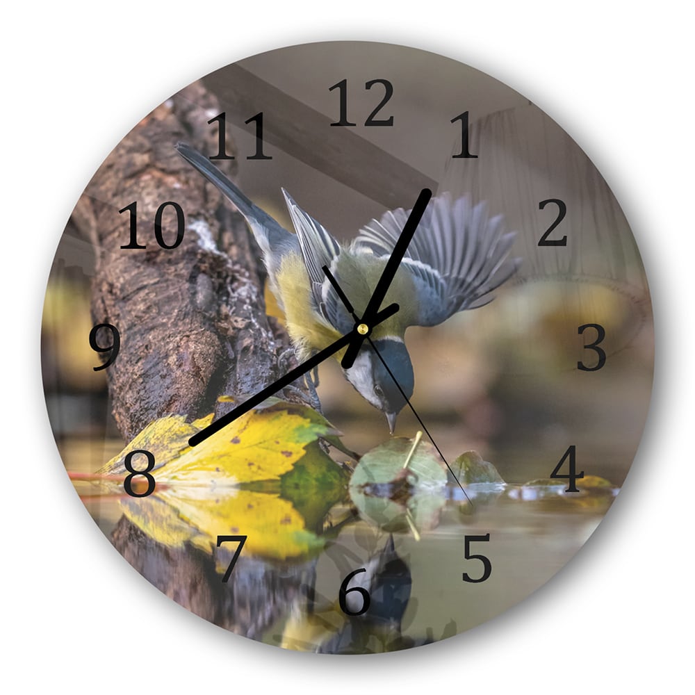 Wanduhr Rund - Kohlmeise am Wasser