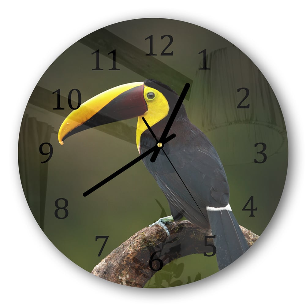 Wanduhr Rund - Tropischer Vogel