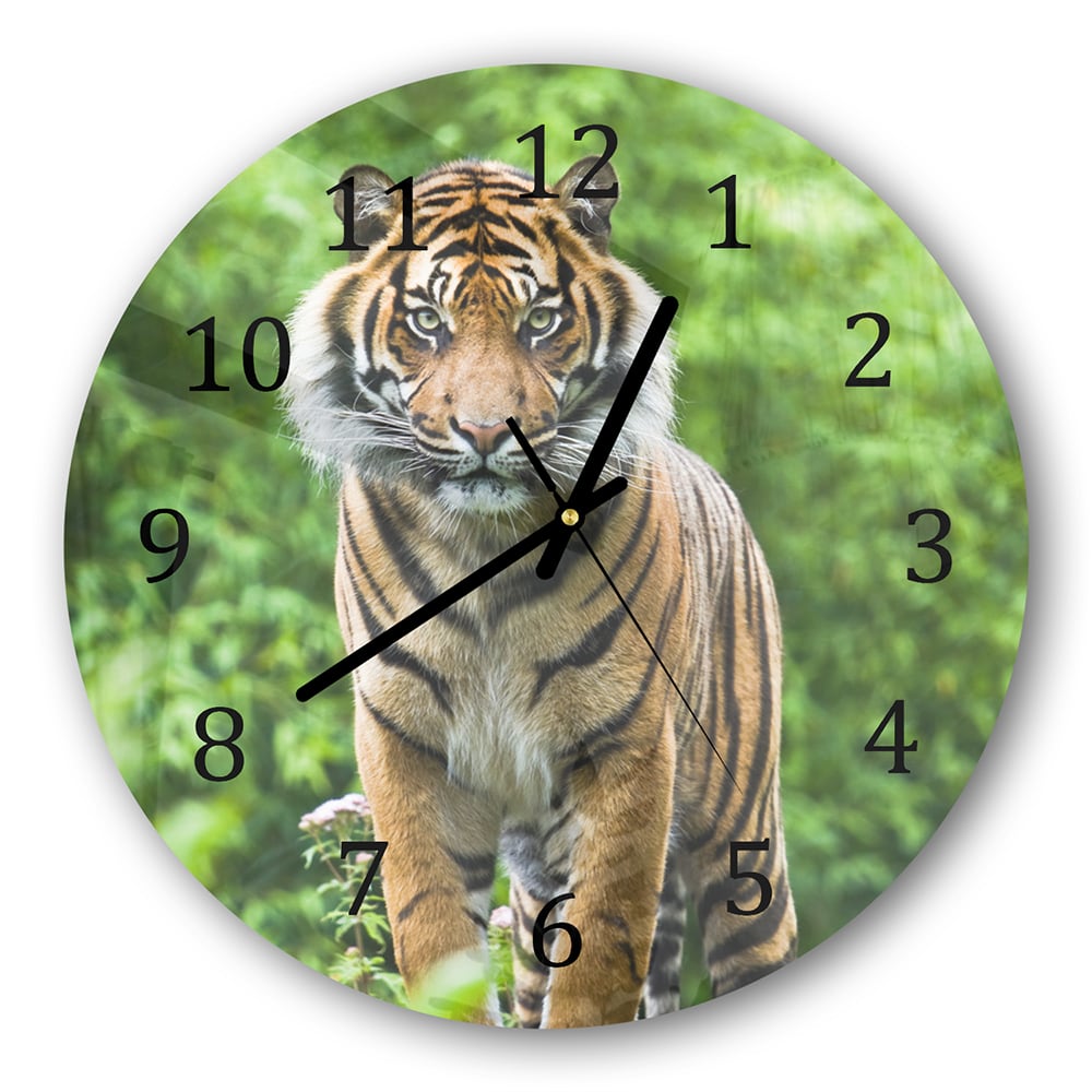 Wanduhr Rund - Bengalischer Tiger