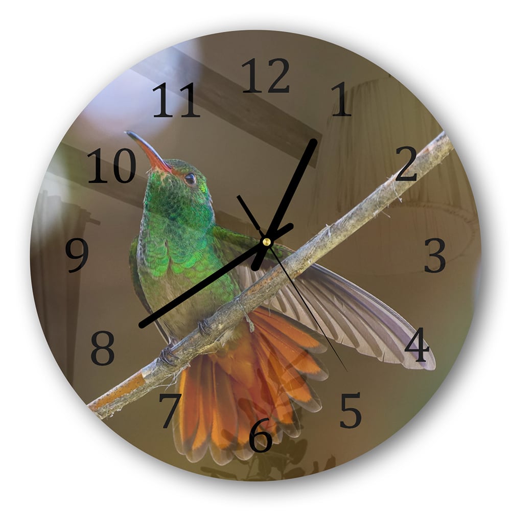 Wanduhr Rund - Kolibri