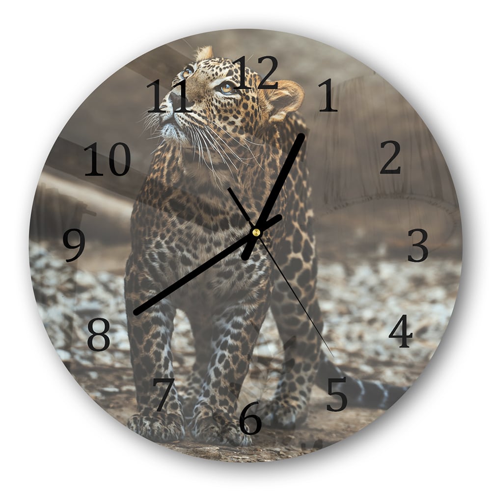 Wanduhr Rund - Ceylon-Leopard