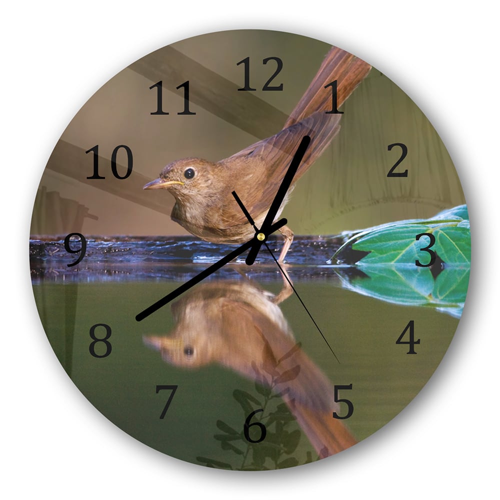 Wanduhr Rund - Nachtigall