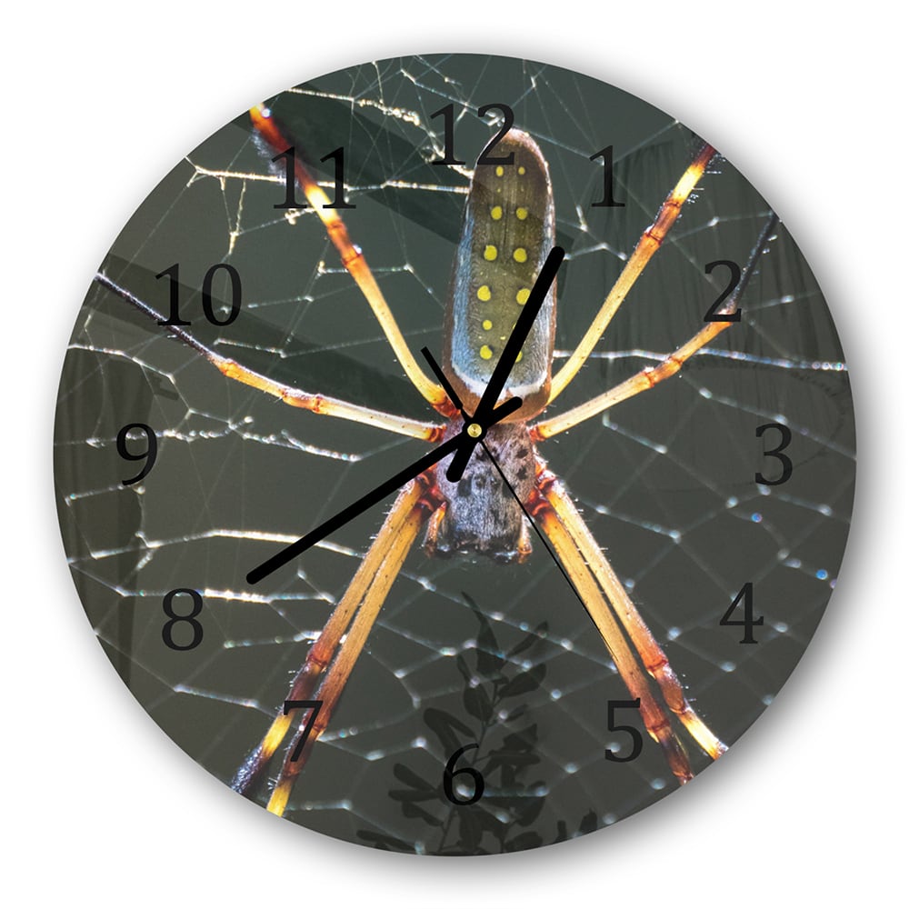 Wanduhr Rund - Goldene Webspinne