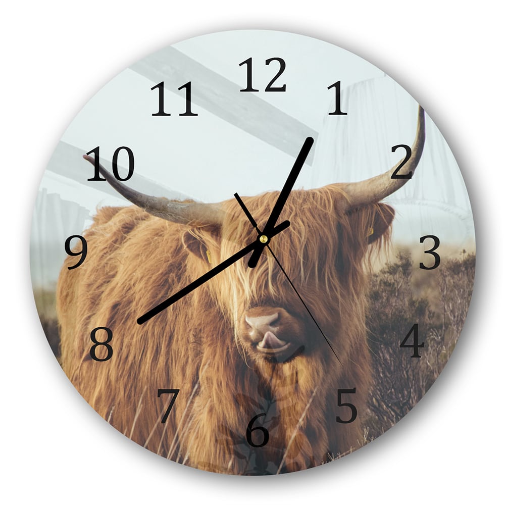 Wanduhr Rund - Schottisches Hochlandrind im Gras