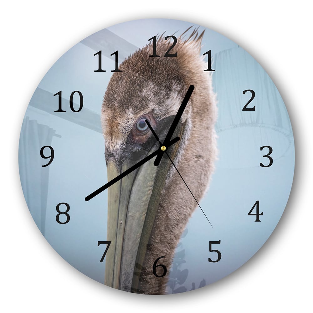 Wanduhr Rund - Majestätischer Pelikan