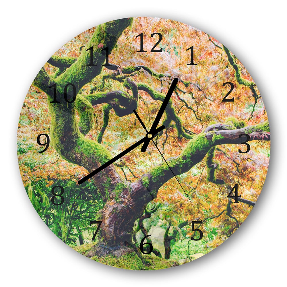 Wanduhr Rund - Moosiger Baum im Herbst