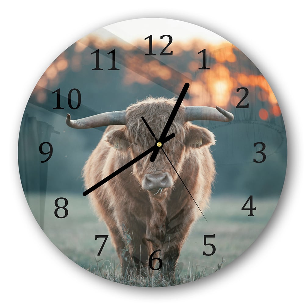 Wanduhr Rund - Hochlandrind am Abend