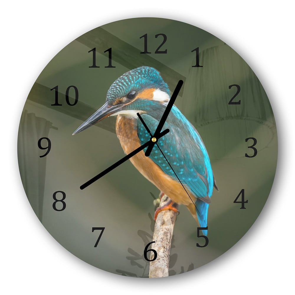 Wanduhr Rund - Bunter Eisvogel