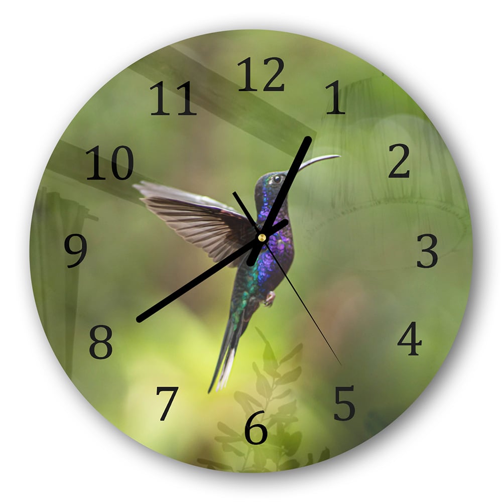 Wanduhr Rund - Bunter Kolibri