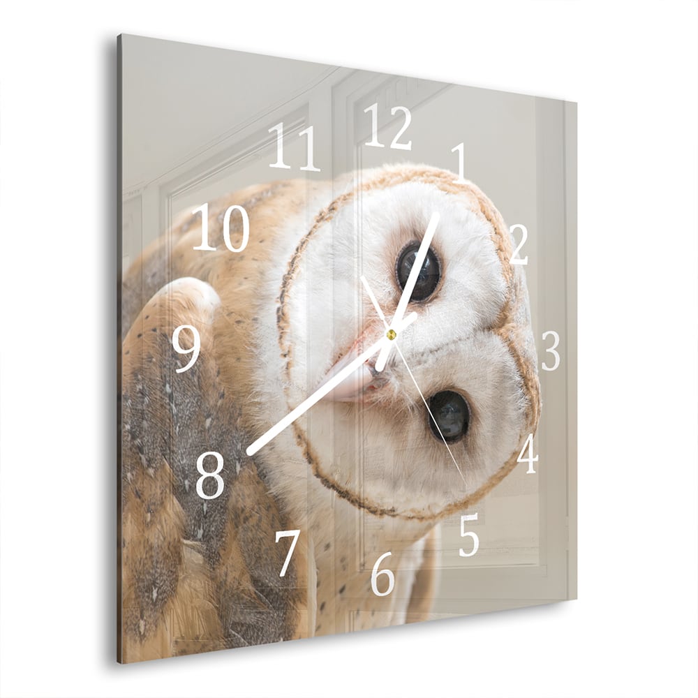 Wanduhr 30x30 - Schleiereule